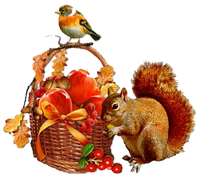 an autumn fruit basket 